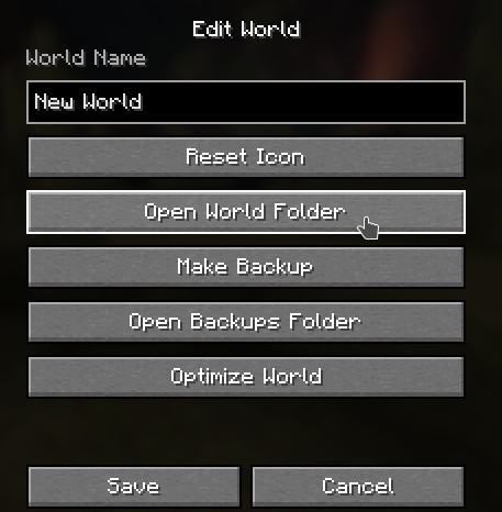 Open a singleplayer world folder from Minecraft